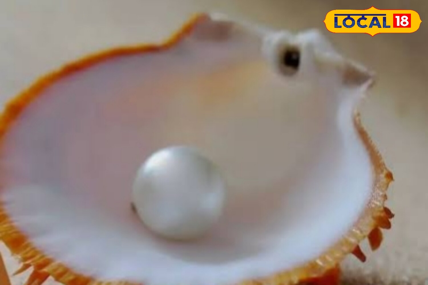 उन्होंने बताया कि रत्नशास्त्र की मानें तो कुछ राशियों के जातकों को मोती धारण करने से बचना चाहिए. इनमें मकर, वृषभ, तुला और कुंभ राशि शामिल हैं. इन राशियों का स्वामी ग्रह चंद्रमा से मेल नहीं खाता, इसलिए इनके लिए मोती धारण करना प्रतिकूल असर डाल सकता है.