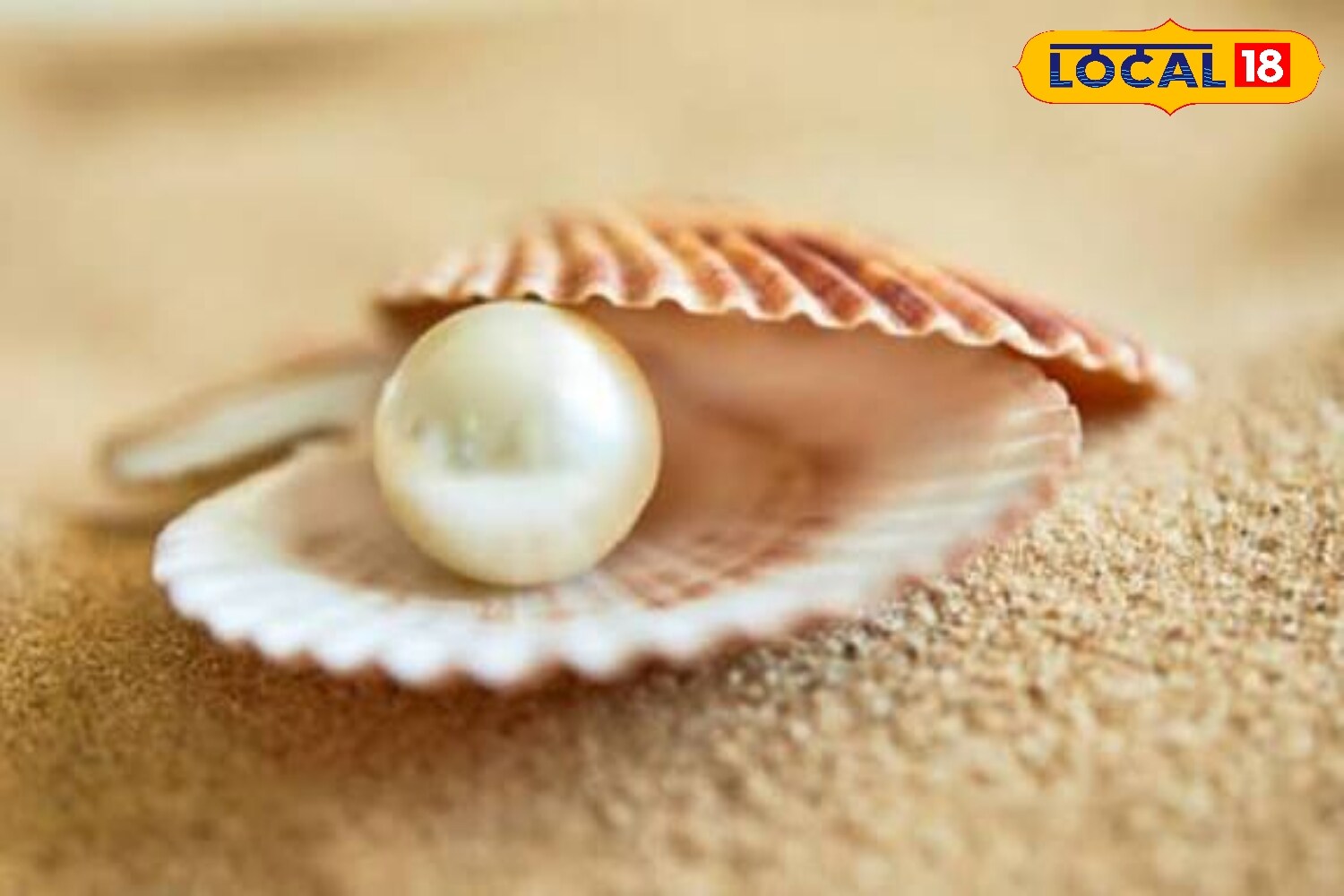 आगे बताया कि अगर मकर, वृषभ, तुला और कुंभ राशि वाले बिना ज्योतिषीय सलाह के मोती पहन लेते हैं, तो उनके मानसिक तनाव बढ़ सकते हैं. साथ ही बिजनेस और करियर में रुकावटें आ सकती हैं. इसके अलावा नींद की समस्या और अनावश्यक चिंता भी बढ़ सकती है. 