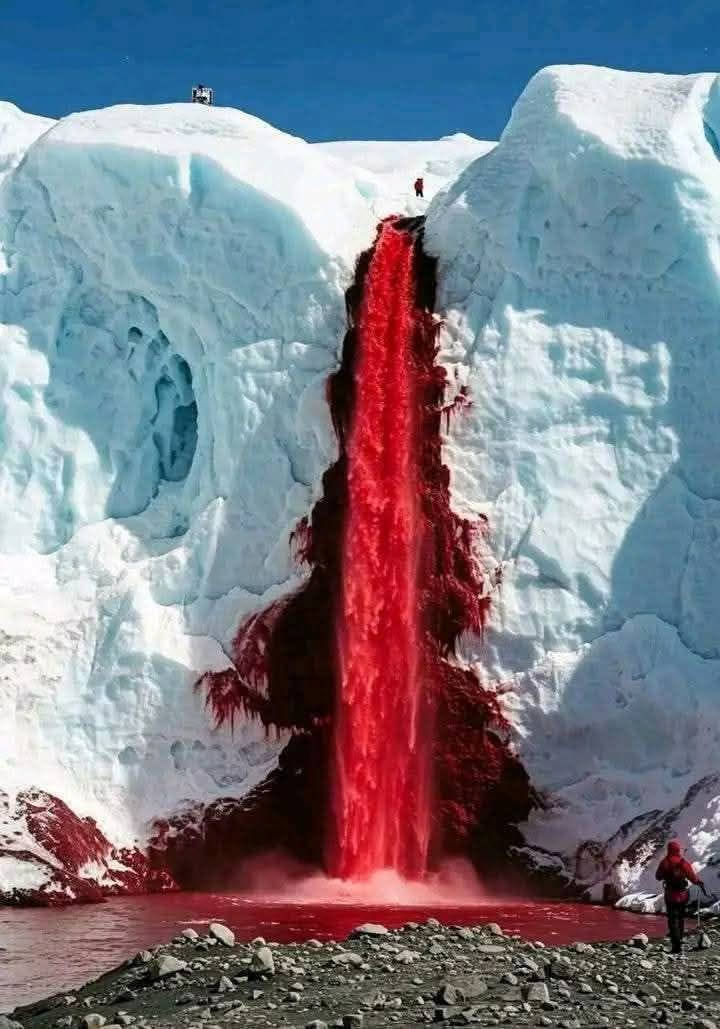 Blood Falls Mystery in Antarctica Solved: Microbes and Scientific ...