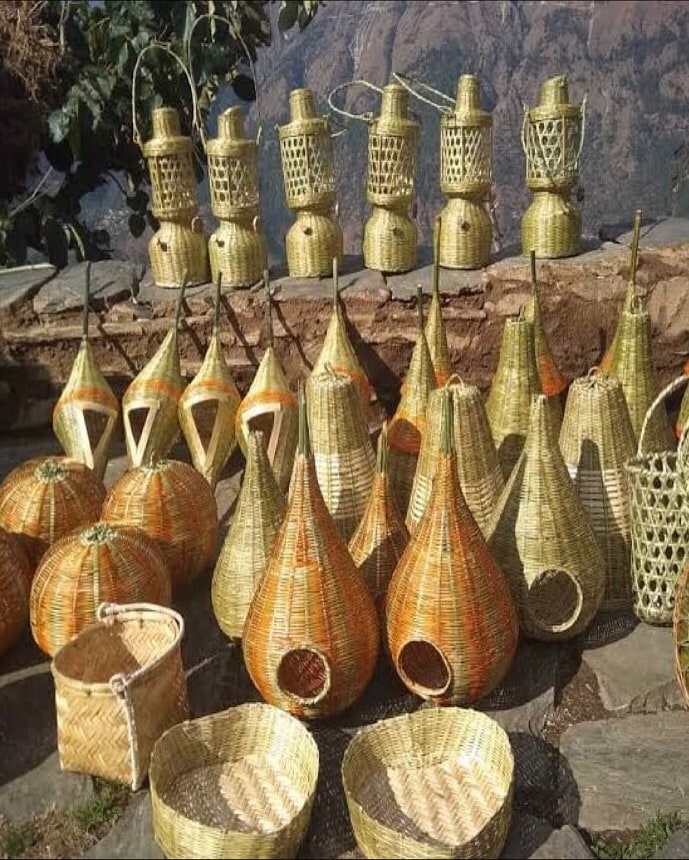 In Banswara, bamboo has traditionally been used for rural housing frames, storage baskets, agricultural implements, fencing, handcrafted household items, and tribal handicrafts. Beyond its practical uses, bamboo remains culturally significant, featuring prominently in local customs, festivals, and community traditions.