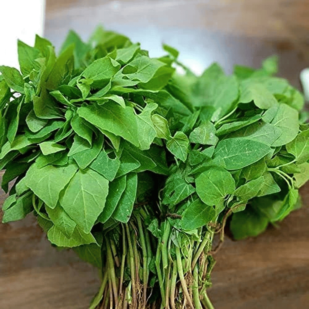 10 Forgotten Spring Foods From India