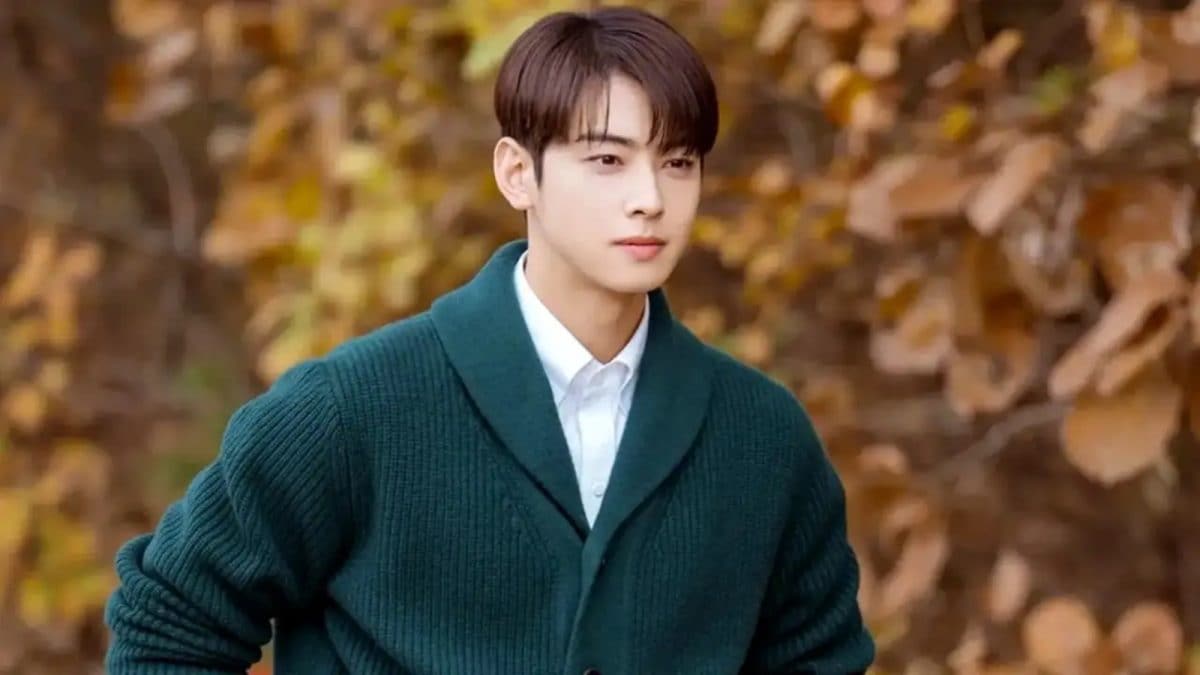 Could K-Pop Star Cha Eun-Woo Go To Jail? All About The ASTRO Member’s Tax Controversy | Hollywood News
