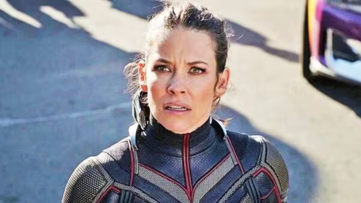 Evangeline Lilly Reveals Brain Damage After Beach Accident