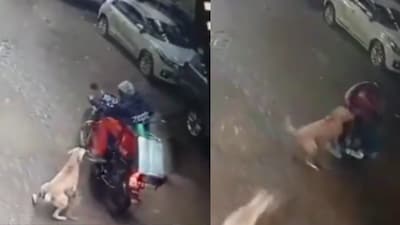 The clip has left residents fearful and sparked strong reactions online. (Photo Credit: X)