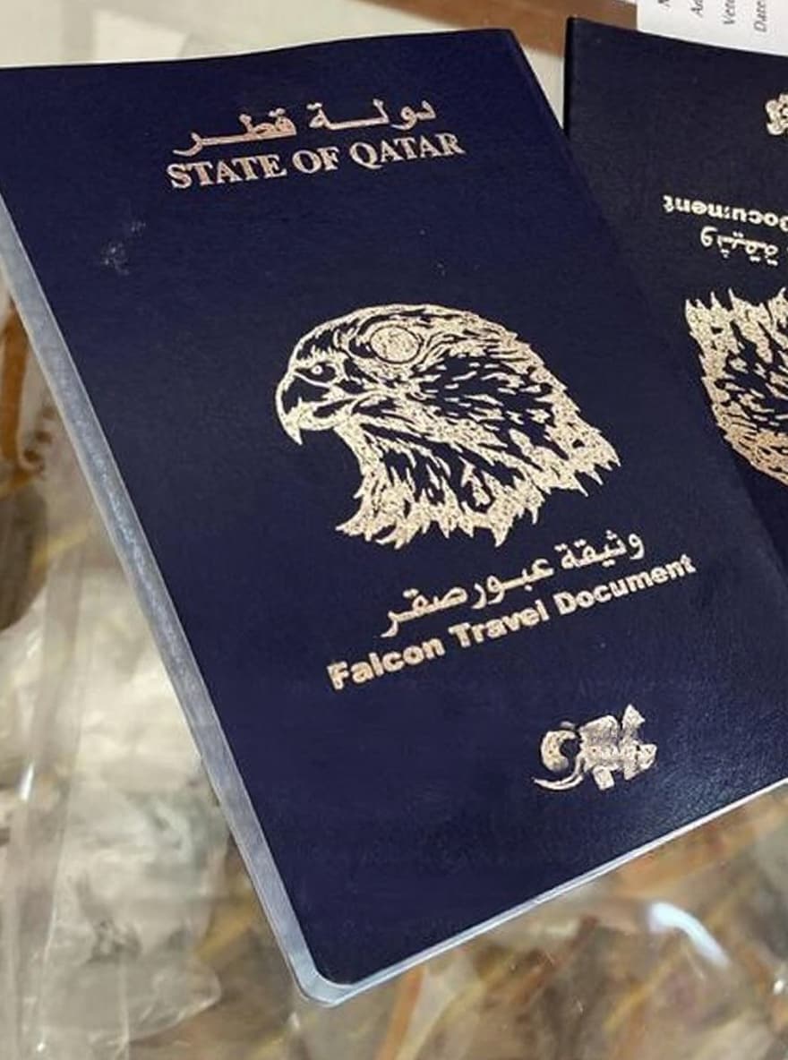 Falcons On Planes? Discover The Country That Gives Them Visas