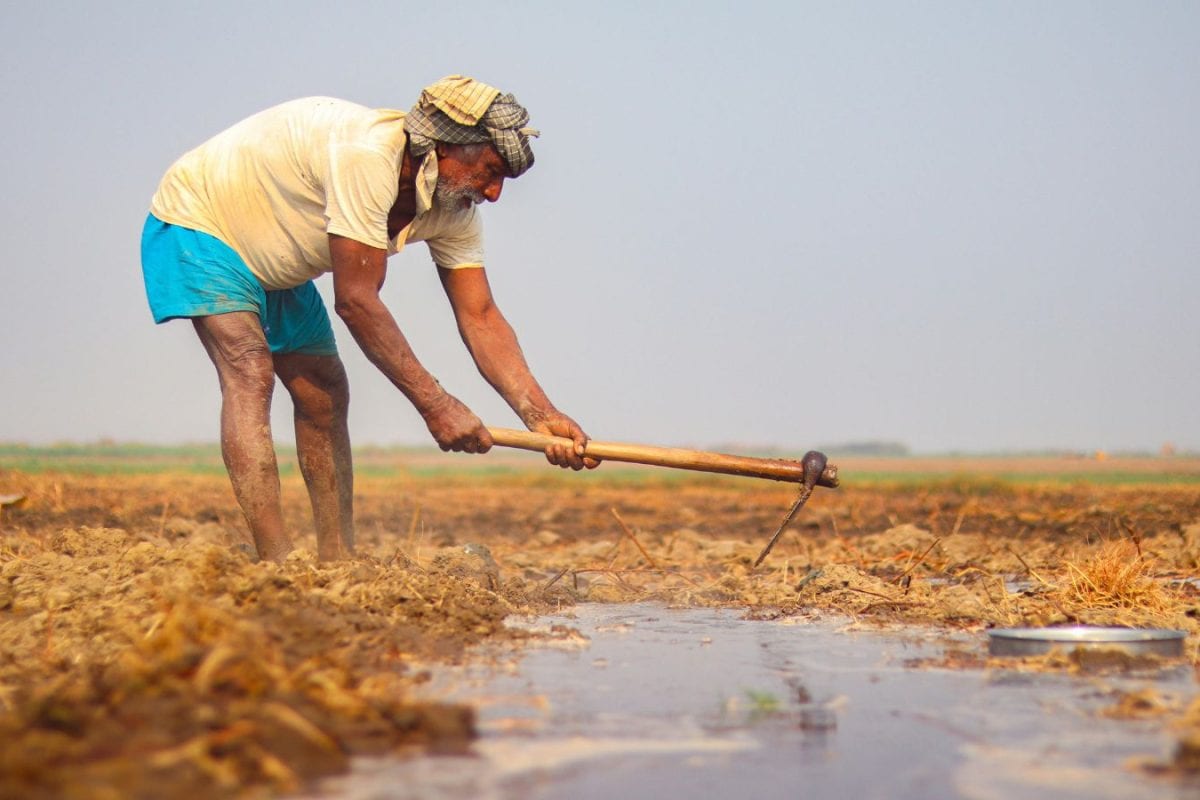 RBI Proposes 4 Major Changes In Kisan Credit Card Scheme: What Beneficiaries Must Know