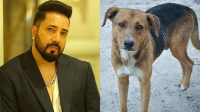 Mika Singh appeals to the Supreme Court to avoid action against stray dogs.