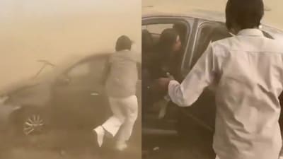 Accident on Delhi-Mumbai Expressway: 5 escape unhurt after car skids off. (Image: X)