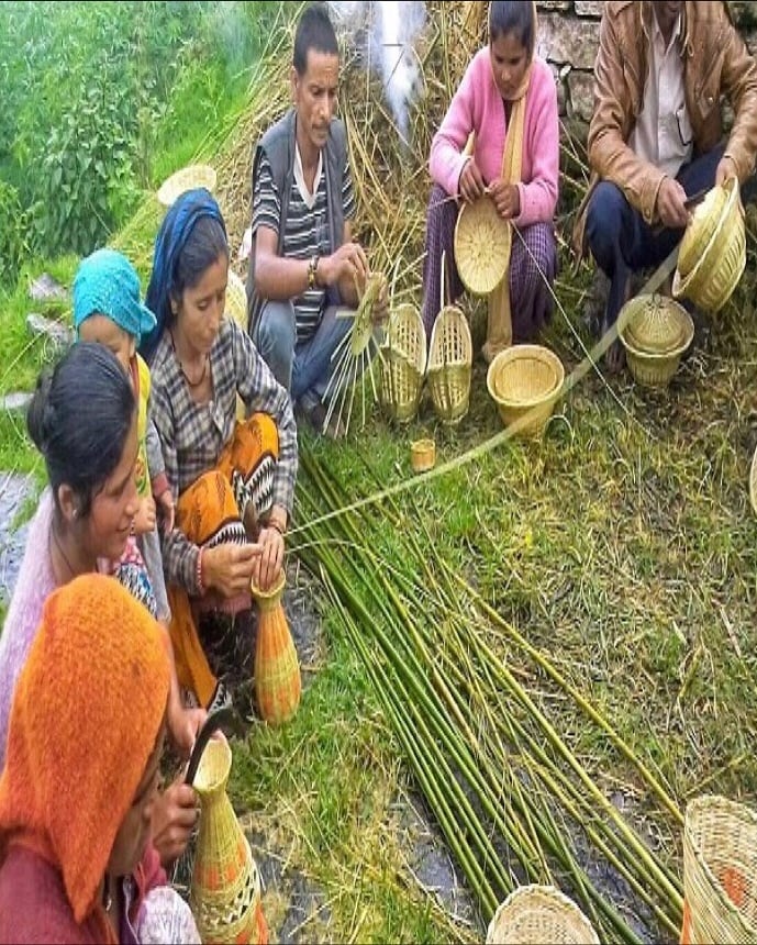  Bamboo continues to be part of rituals, festivals, and traditional craftsmanship, preserving indigenous knowledge and community heritage in the Banswara region.