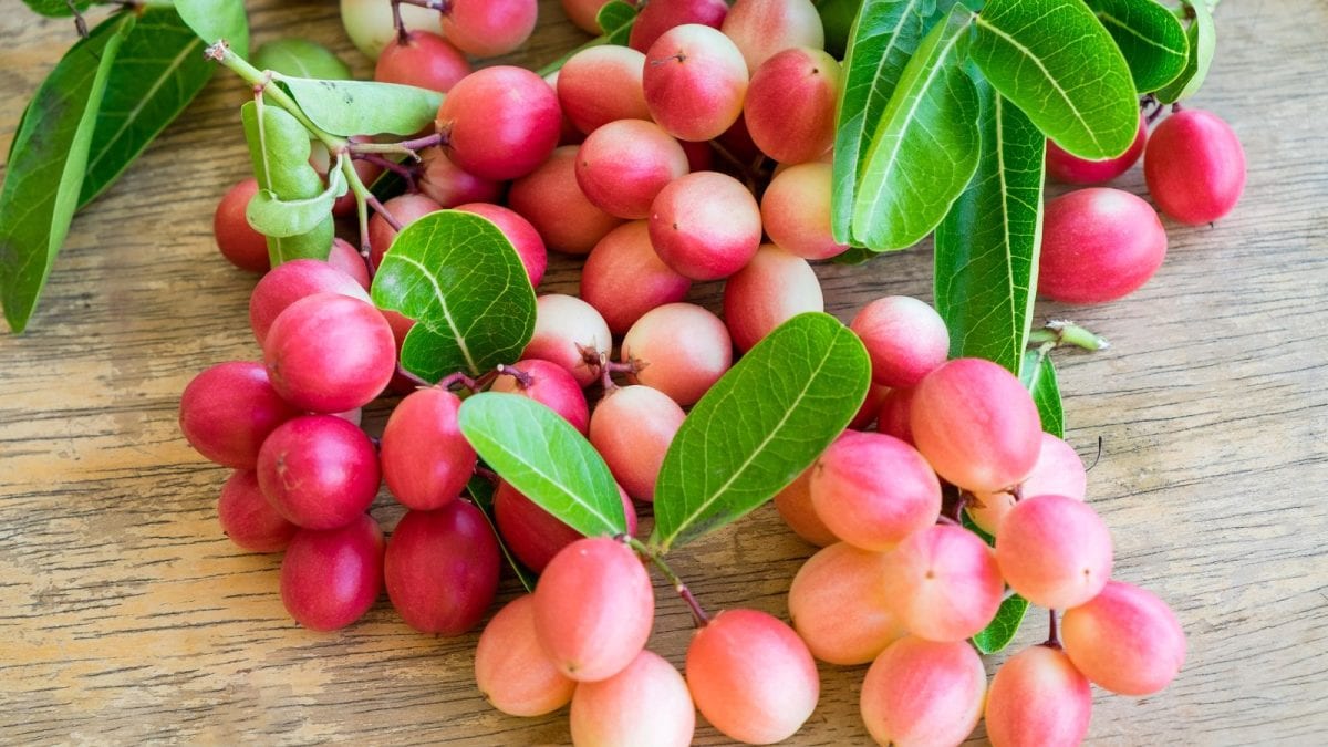 10 Unique Berries Found Only In India And Their Health Benefits