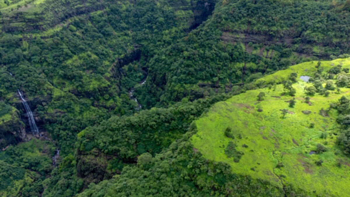 Pitlam Misty Hills & Tribal Hamlets: Telangana's Secret Nature Getaway Near ...