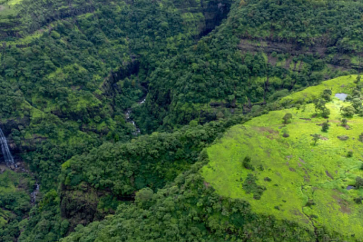 Misty Hills & Tribal Hamlets: Telangana's Secret Nature Getaway Near Adilabad