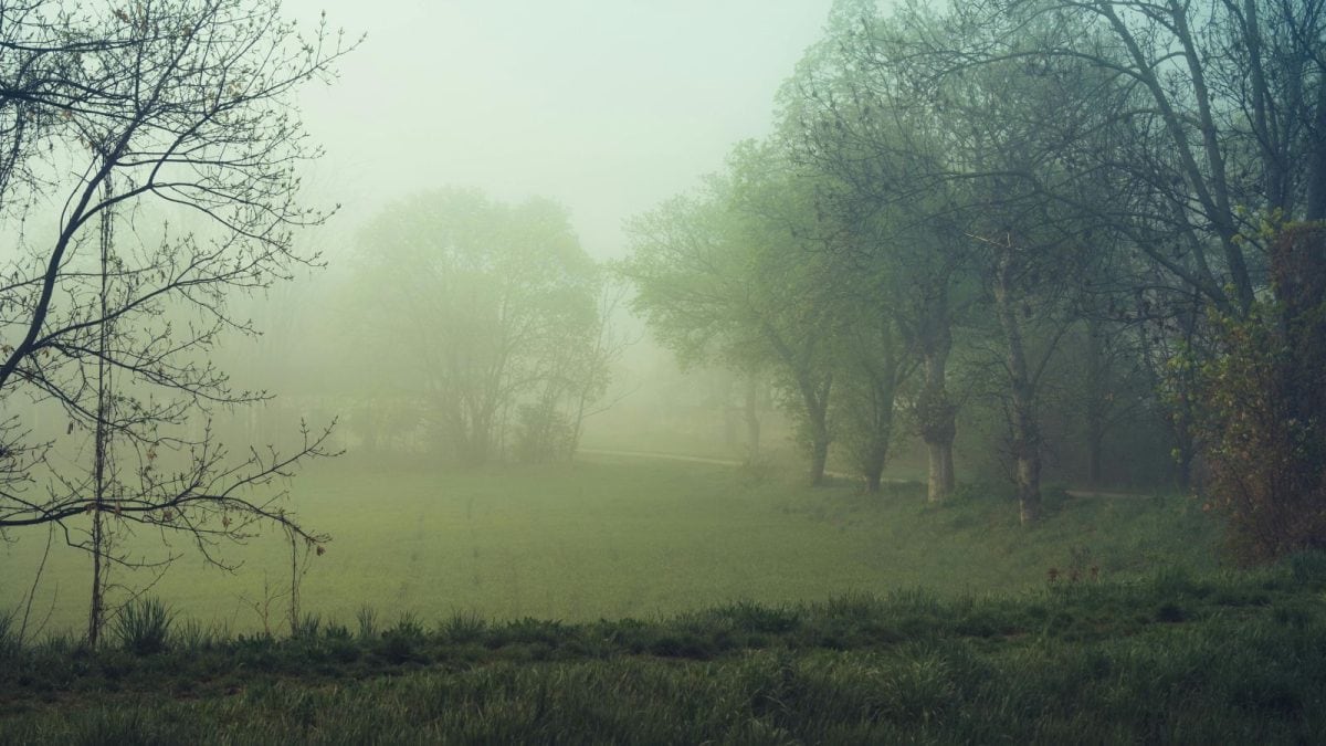 Cold Conditions Worsen In Bengaluru, Temperatures To Drop Further This Week
