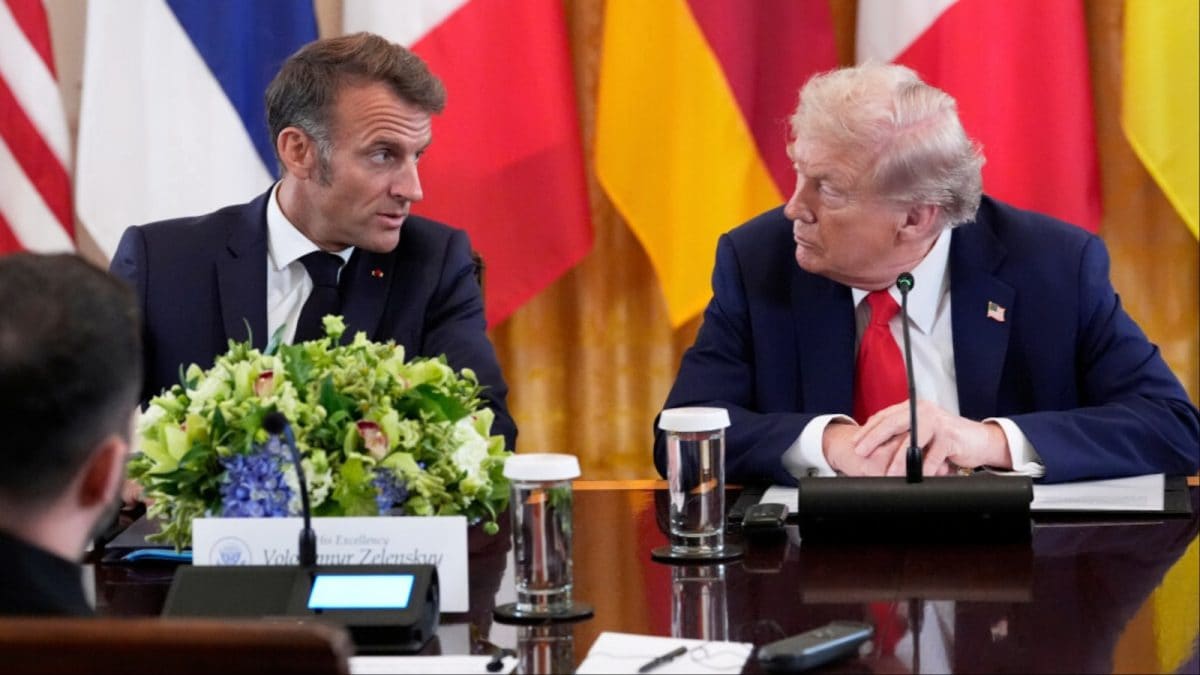 'Please, Donald, I Beg You': Trump Mocks France's Macron Over Tariff, Drug Price Hike
