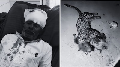 Man kills leopard in Gir, Gujarat (Photos: News18)