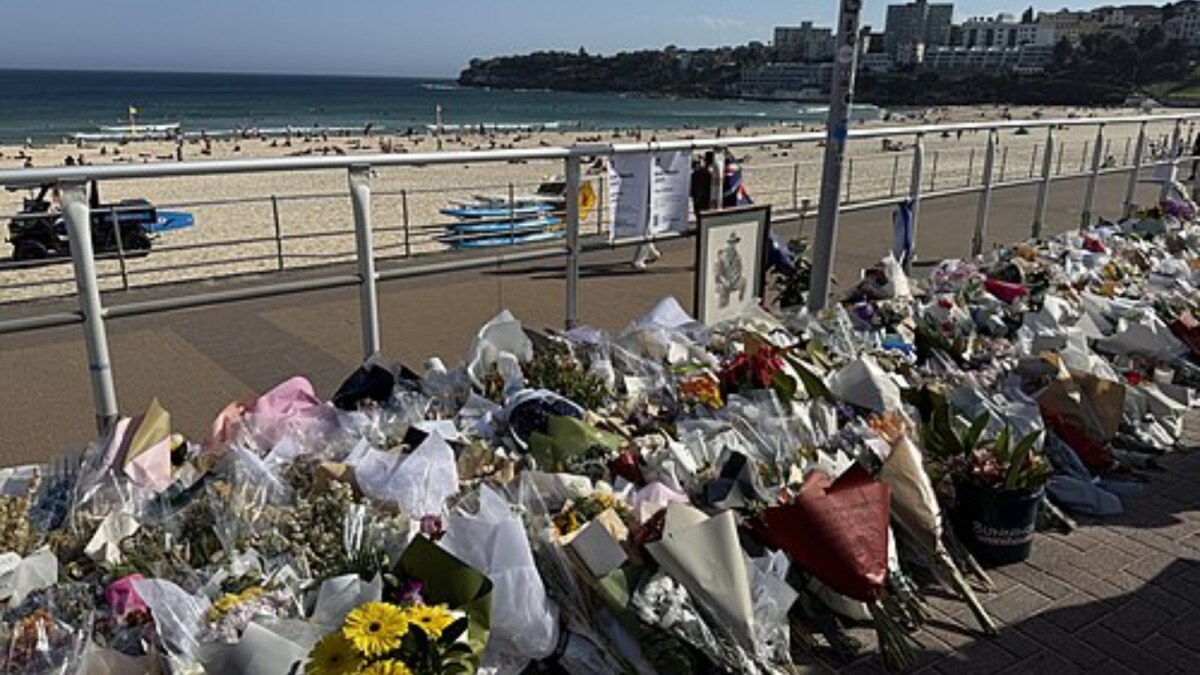 ‘People Were Bleeding…’: Indian Driver Who Stayed Back During Bondi Beach Terror Attack | World News ‘People Were Bleeding…’: Indian Driver Who Stayed Back During Bondi Beach Terror Attack | World News