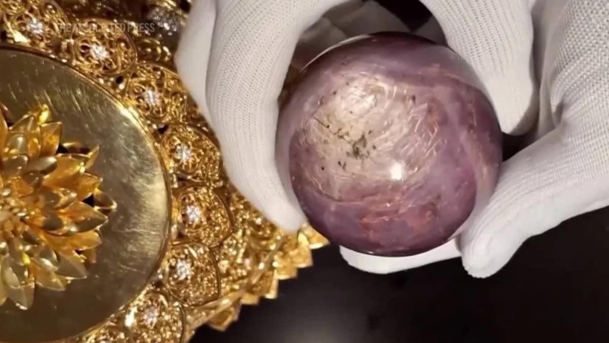 A ‘Star Of Pure Land’ Is Born: Sri Lanka Reveals Rare 3,536-Carat Purple Sapphire