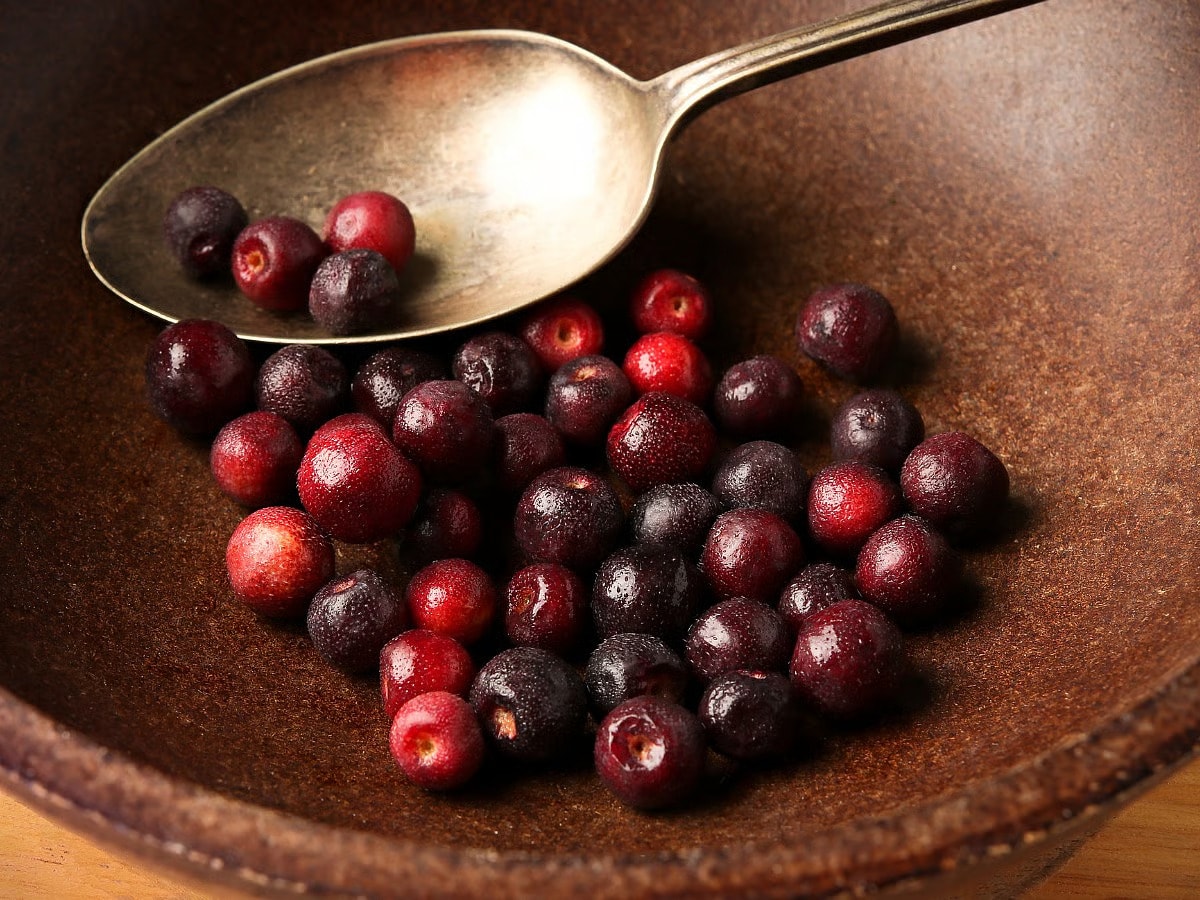 10 Forgotten Spring Foods From India