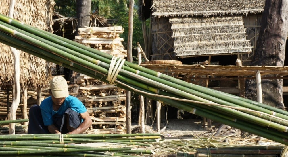  Reportedly, the area was once densely covered with bamboo plantations, and the communities in and around Banswara traditionally used bamboo for tools, household items, crafts, fencing, storage structures and rural construction activities. 