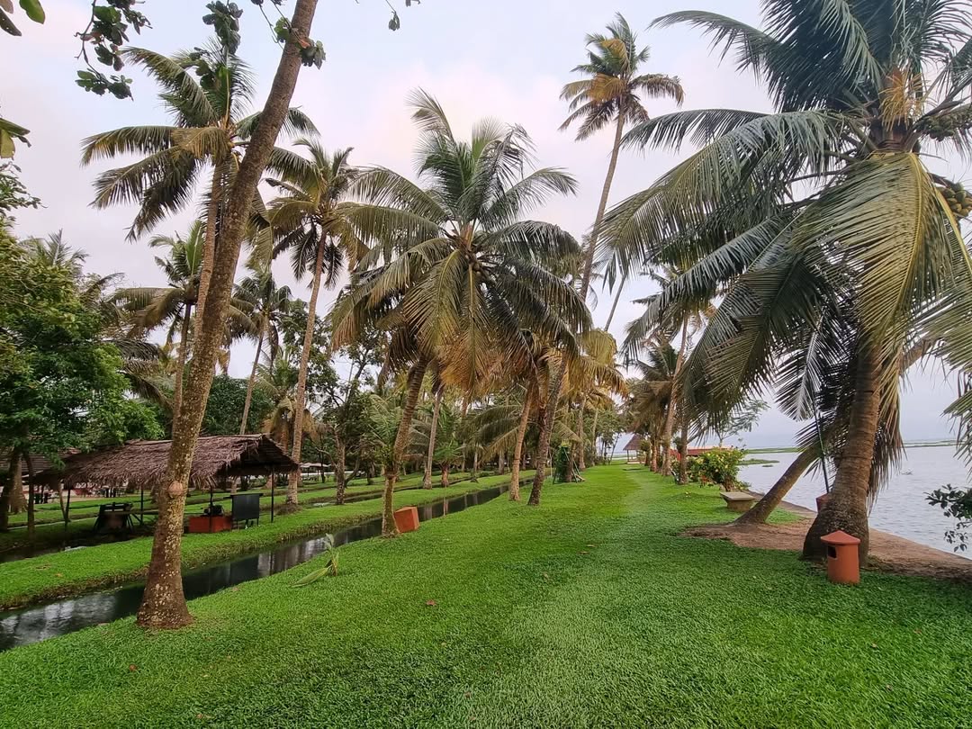 Thiruvananthapuram is adorned with coconut groves, botanical gardens, forest belts, and landscaped parks. Its abundant greenery harmoniously coexists with cultural and administrative areas, creating a refreshing natural oasis uncommon in urban India.