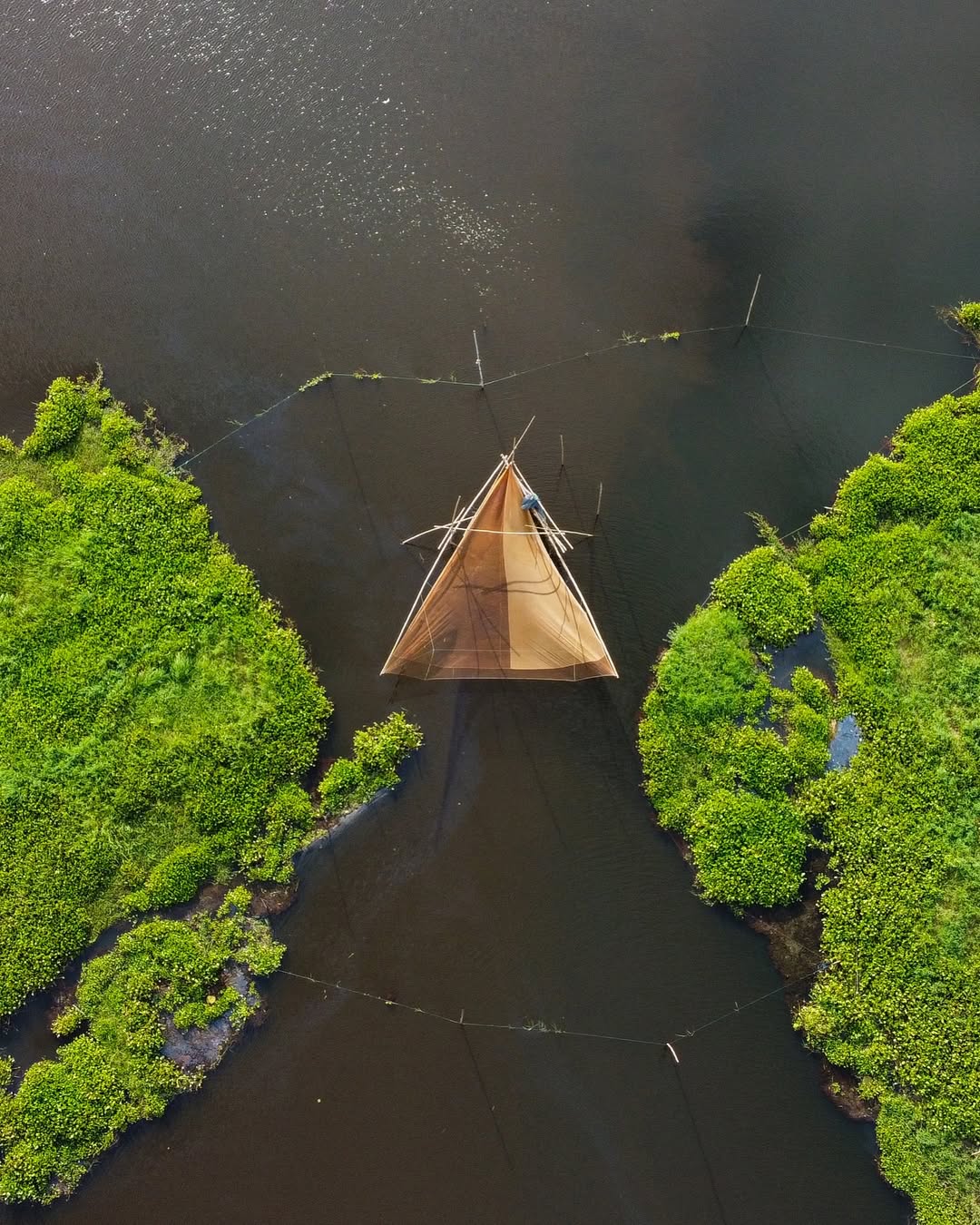 Rich Flora and Fauna: With dense forests, living bridges, and waterfalls, Meghalaya hosts unique biodiversity. Birdwatchers and nature enthusiasts can spot rare species while exploring its national parks and hidden trails.