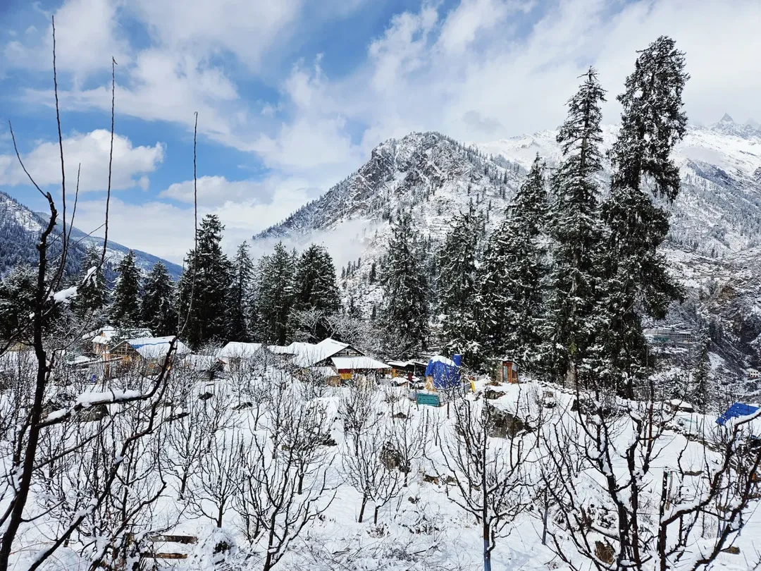 The cold wave gripping the state has pushed minimum temperatures below freezing in several towns. Manali and Narkanda recorded -1.1°C, Kukumsheri plunged to -7.9°C, and Tabo dropped to -10°C. Kalpa reported -4°C, Dharamshala -0.6°C, Reckong Peo -0.7°C, and Sarahan -0.3°C. Kufri hovered just above freezing at 0.1°C, while Shimla recorded 2.5°C, Palampur 2.0°C, Solan 3.0°C, and Jubbarhatti 2.0°C. The cold wave gripping the state has pushed minimum temperatures below freezing in several towns. Manali and Narkanda recorded -1.1°C, Kukumsheri plunged to -7.9°C, and Tabo dropped to -10°C. Kalpa reported -4°C, Dharamshala -0.6°C, Reckong Peo -0.7°C, and Sarahan -0.3°C. Kufri hovered just above freezing at 0.1°C, while Shimla recorded 2.5°C, Palampur 2.0°C, Solan 3.0°C, and Jubbarhatti 2.0°C.