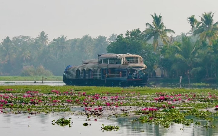 Kerala’s capital prioritizes sustainability, green zones, and efficient waste management. This commitment to environmental preservation helps maintain a clean, pollution-controlled, and naturally rich urban ecosystem.