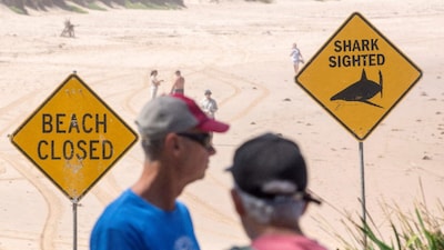 People stand next to warning signs in place, and beaches are closed after a surfer suffered a shark attack today at Dee Why Beach in Sydney, Australia. (IMAGE: REUTERS)