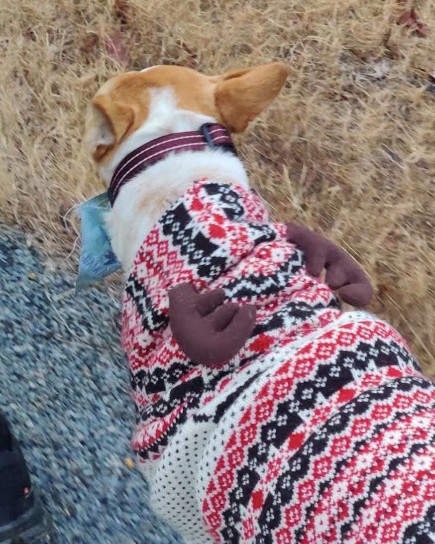 After India, Aluka joined 19 monks in a peace march from Fort Worth in October last year. The trip reportedly includes 10 states over 110 days, and is scheduled to end in Washington, D.C., in February.