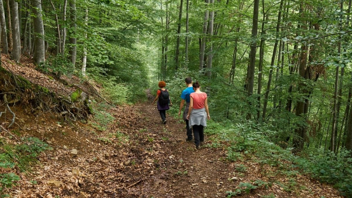 Planning A Trek In Karnataka? Forest Dept May Stop You At The Gate, Here’s Why