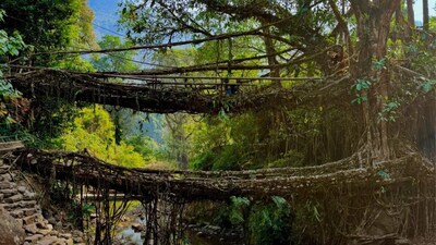 Meghalaya’s Living Root Bridges Nominated For UNESCO World Heritage Status