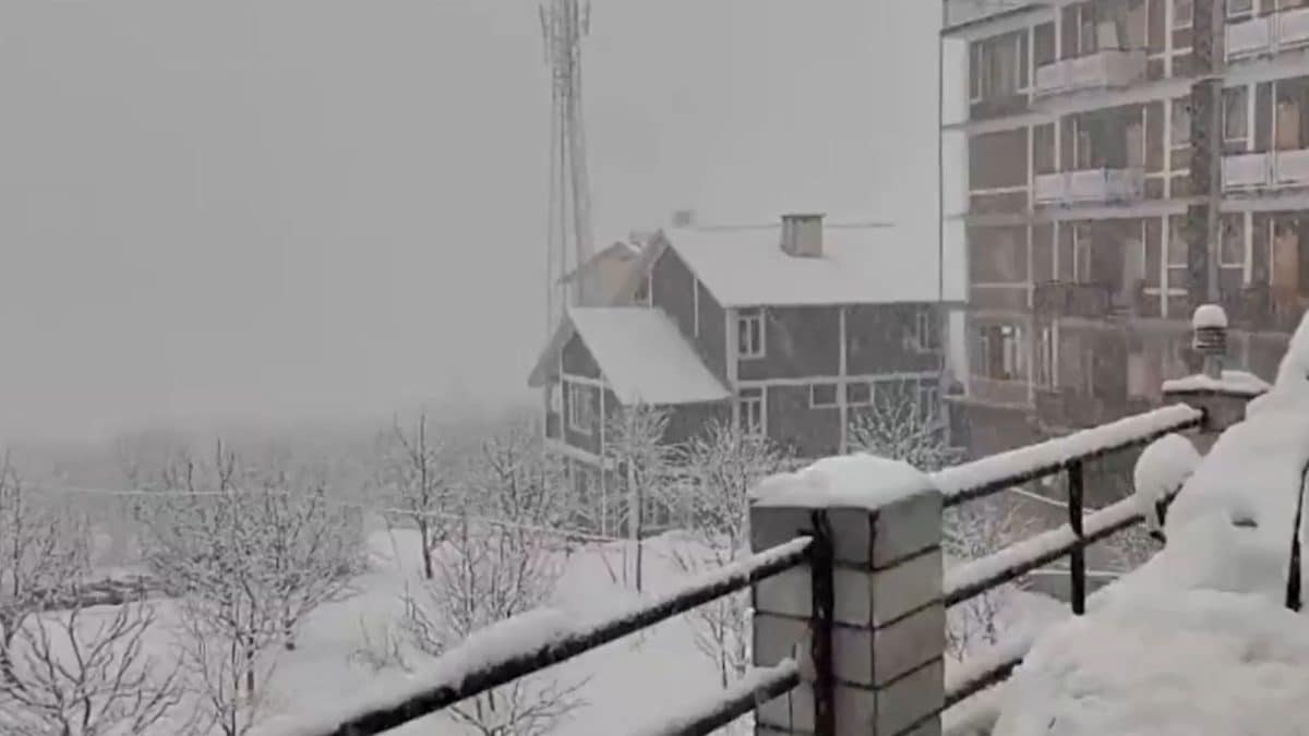 Heavy Snowfall Blankets Kashmir And Himachal As North India Faces Weather Shift | Watch