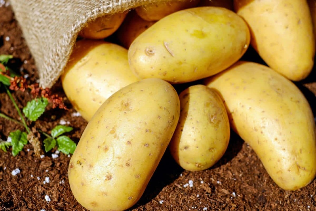 Should People With Diabetes Avoid Eating Potatoes? Doctors Explain