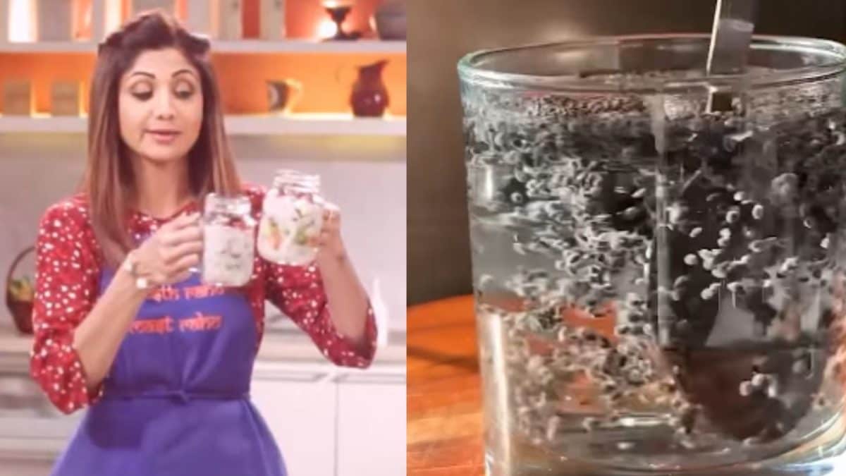 Isabgol Vs Chia Seeds: What Is The Difference? Which Is The Everyday Gut Hero?