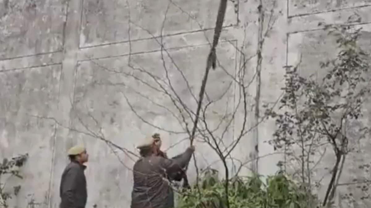 Two Inmates Escape After Climbing Kannauj Prison Walls With Make-Shift Rope | Video | India News