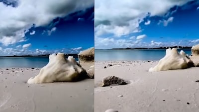 Priyanka Chopra shared a calm beach moment on Instagram. (Photo Credit: Instagram)