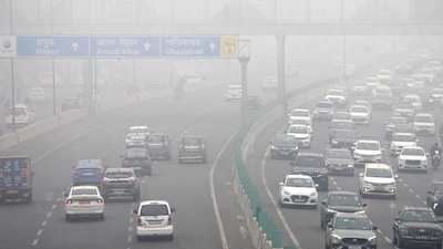 Cold Wave In North India (PTI/File)