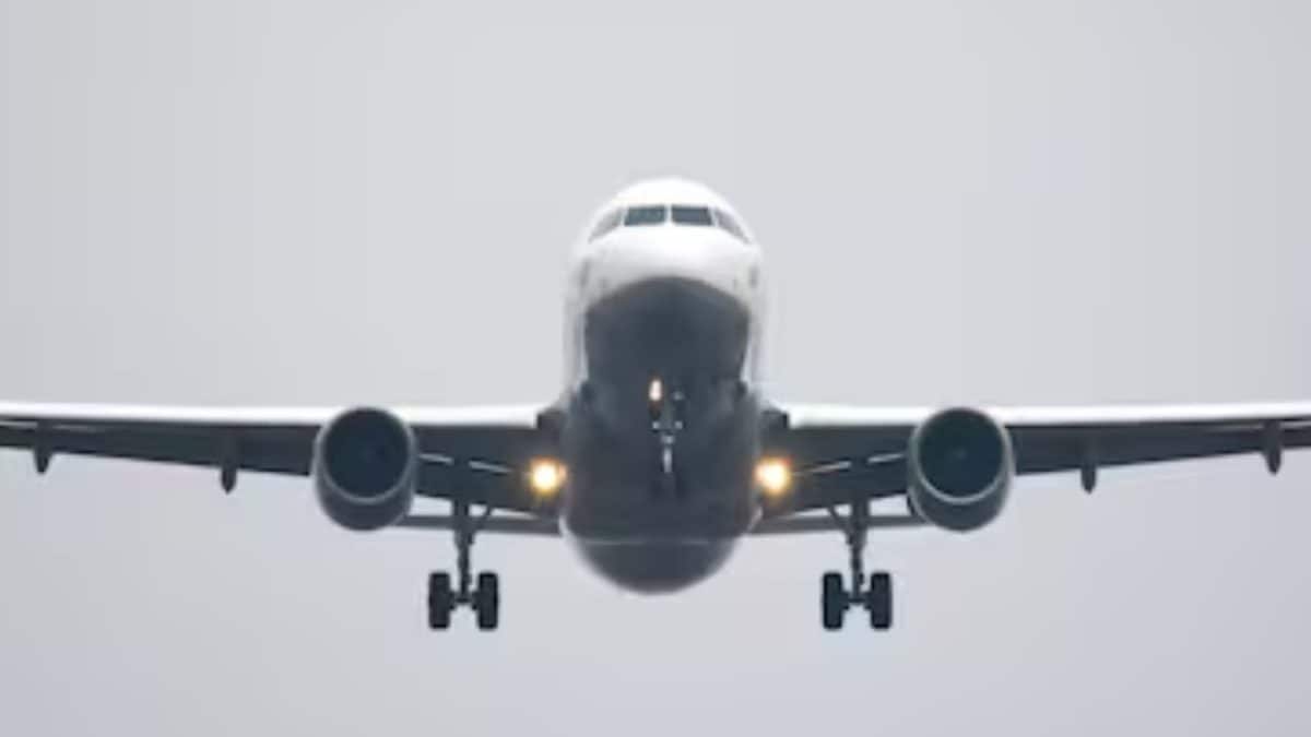 Iran Closes Skies: This Delhi Flight Was Final 'Non-Iran-Registered' Aircraft To Exit