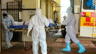 The virus is believed to have spread from Nadia district's Ghoghragachi village near the Bangladesh border, linked to fruit bats contaminating date palm sap. (Representational Image)