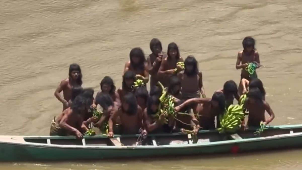 ‘They Began Lowering Their Weapons’: Rare Footage Shows Uncontacted Amazon Tribe Encounter