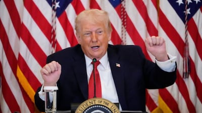 US President Donald Trump (AP)