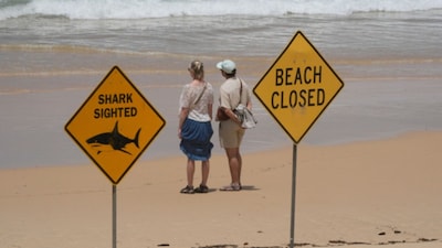 People stand next to warning signs in place, and beaches are closed after a surfer suffered a shark attack today at North Steyne Beach in Sydney, Australia. (AP)
