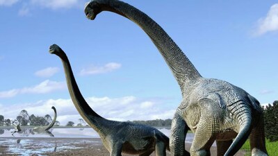 130-Million-Year-Old Dinosaur Footprints Found in Australia, Some Bigger Than a Human