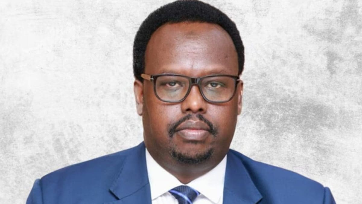 Pune & Hyderabad Alumnus, Somalia Deputy PM Wows With Fluent Hindi — Who Is Salah Ahmed Jama?