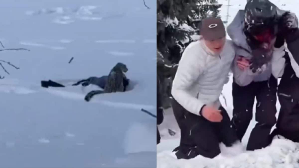 Skier Mauled By Snow Leopard After Stepping Within 10 Feet For Photo In China