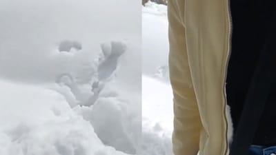 The woman was heard demanding a refund of Rs 11,000. (Photo Credit: X)