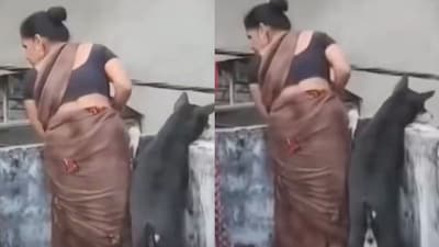 The video captures a scene straight out of every Indian neighbourhood. (Photo Credit: X)