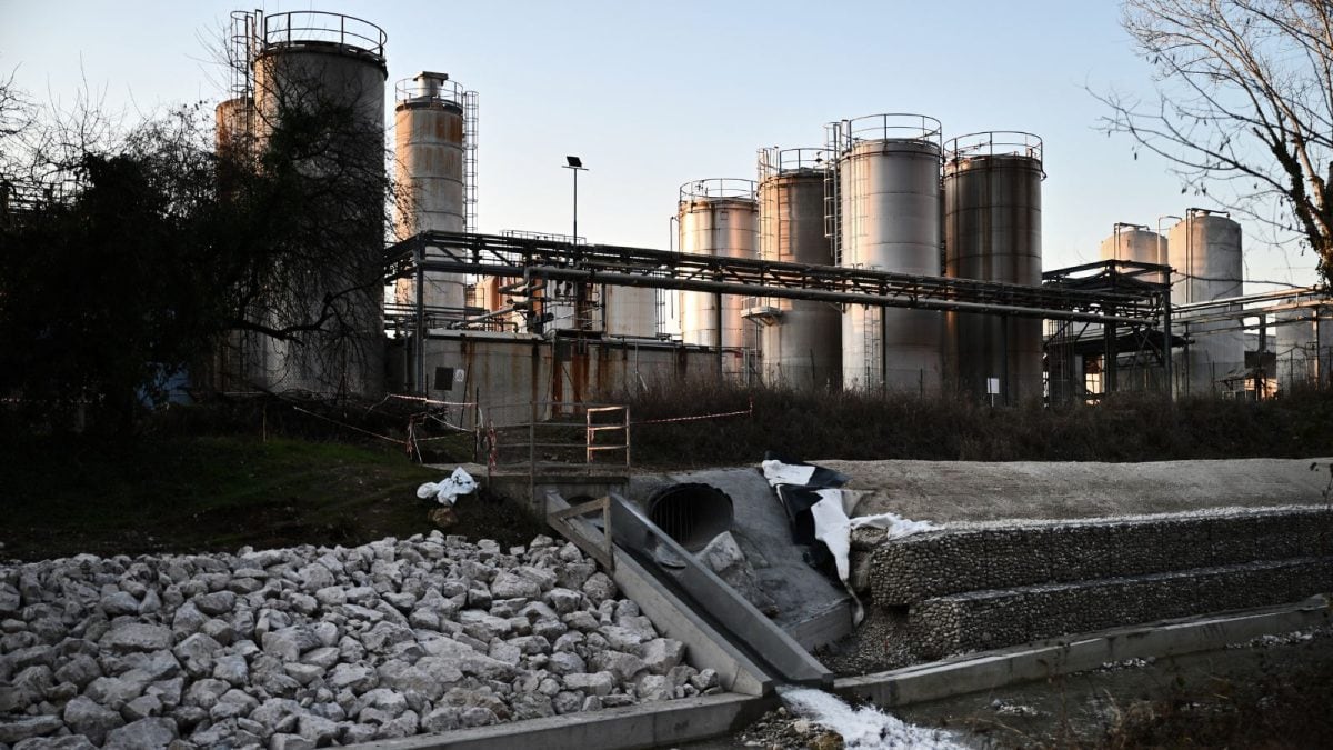 Opinion | Toxic Migration, From Italy's Vicenza To The Konkan Coast In Maharashtra