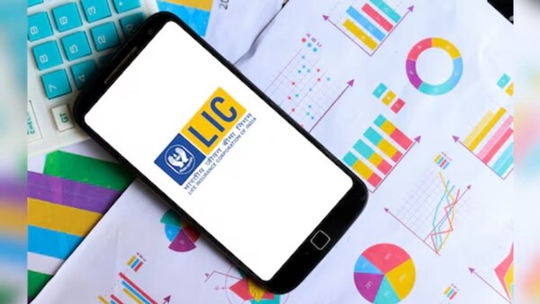 LIC Bima Sakhi Scheme: Who Can Apply And How It Works