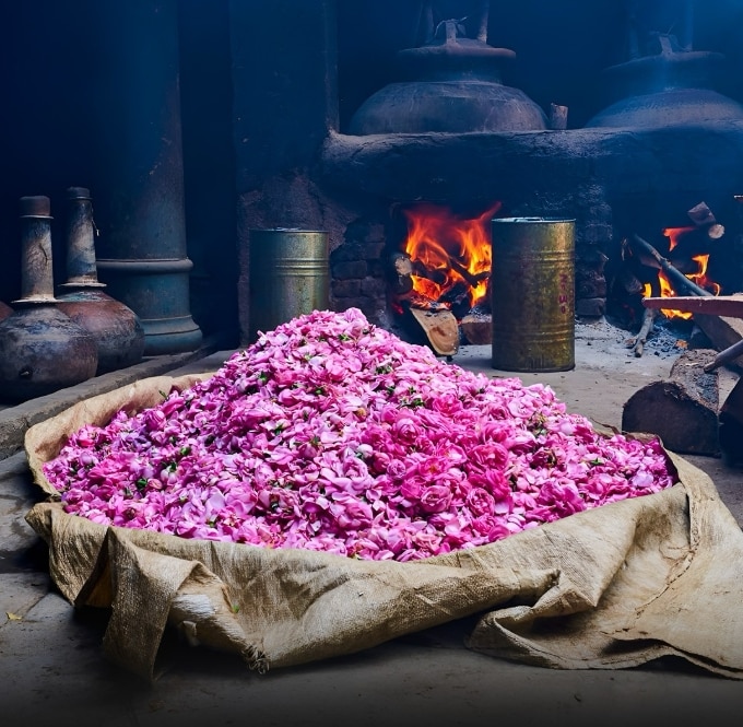 GK: Which city is known as the perfume capital of India?